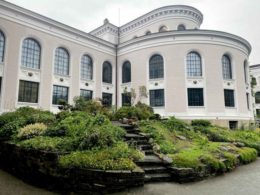 Bildet viser museumshagen ved Universitetet i Bergen